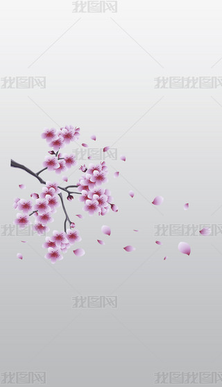ęѻͨ宋⓸͸pngDƬز