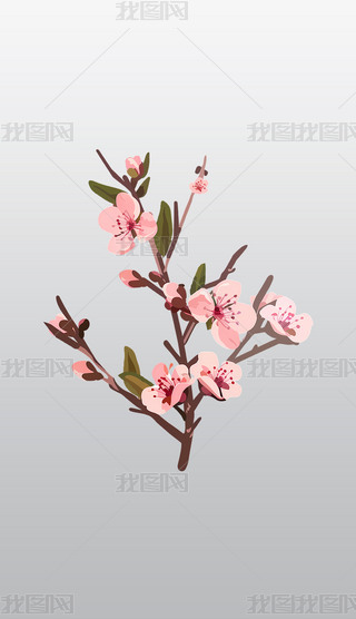 ɫęѻ֦ͨ宋⓸͸pngز