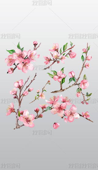 ֦^ϵʢ_ɫѻͨ宋͸pngز