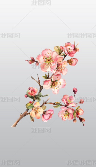 ķɫѻͨ宋⓸͸pngDƬز