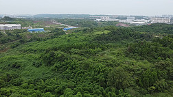 ʾ