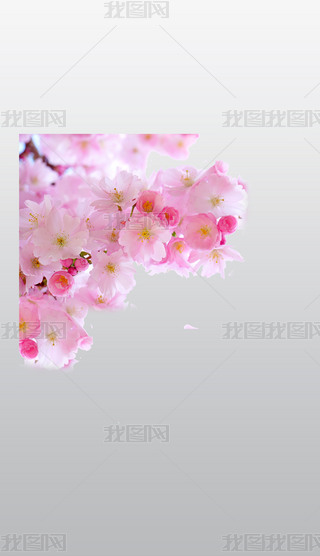 ͸µķɫѻͨD͸pngز