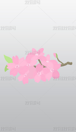 \ɫęѻ֦ͨD⓸͸pngDƬز