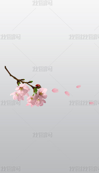 ưxęѻ֦ͨD⓸͸pngز