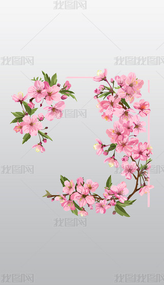 ֦^ϵķɫѻͨD⓸͸pngز