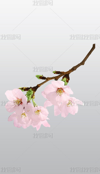 зɫęѻ֦ͨD͸pngز