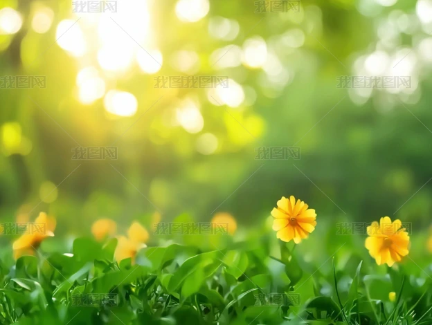 ľ