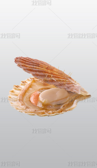 rؐͨ宋⓸͸pngDƬز