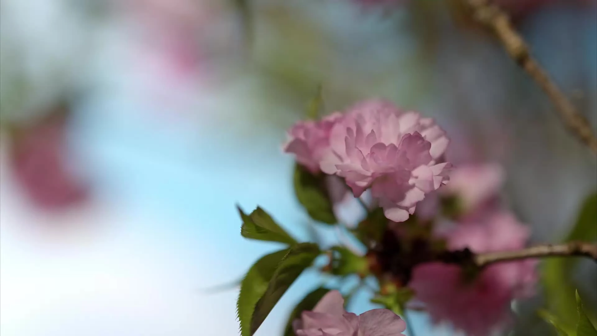 ֦