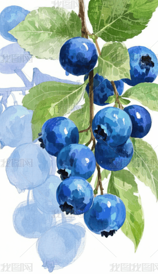 {ݮ֙Cڼ (1)