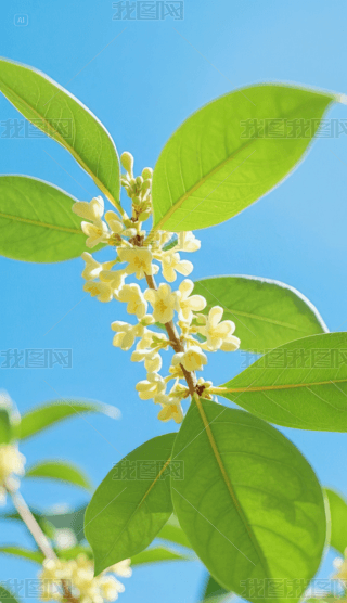 {(ln)µĹ֙C(j)ڼ (1)