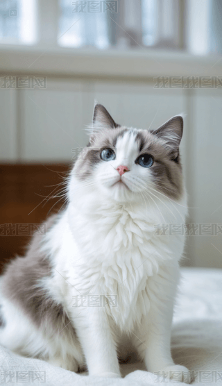 ϵɐ۵Ĳż؈֙Cڼ (2)