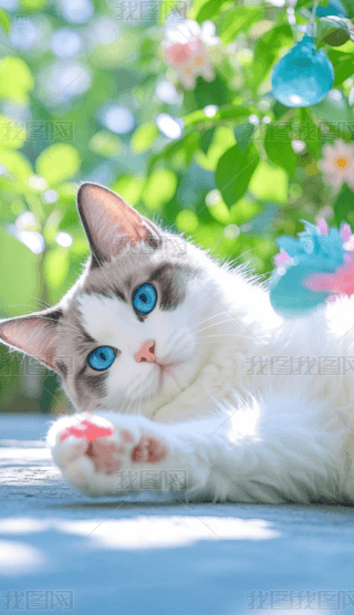 ϵɐ۵Ĳż؈֙Cڼ (1)