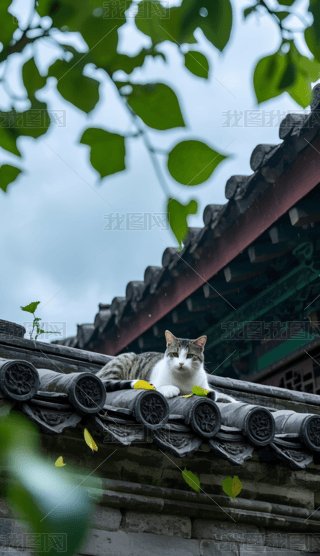 G~µԺϵ؈֙C(j)ڼ (1)