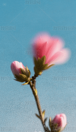 һ֦һ֙Cڼ (2)