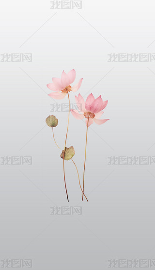 挍ɏﻨ_ֲ⓸͸pngDƬز