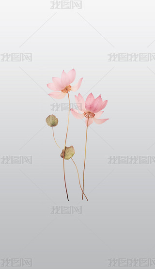 挍ɏ_ֲ⓸͸pngDƬز