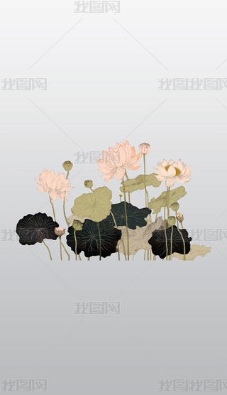 20o(j)70ɏֲﻨDAI宋DƬز