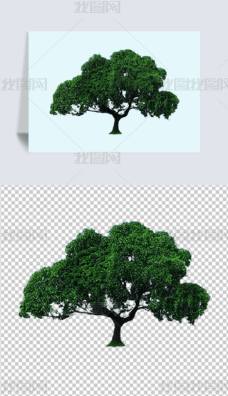 һØGGaGֲľ