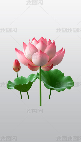 F(xin)LɏɫɏcG~͸pngز