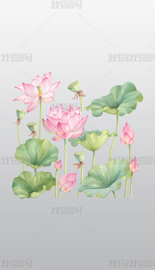 ɫɏɏc~ˮʲ宋͸pngز