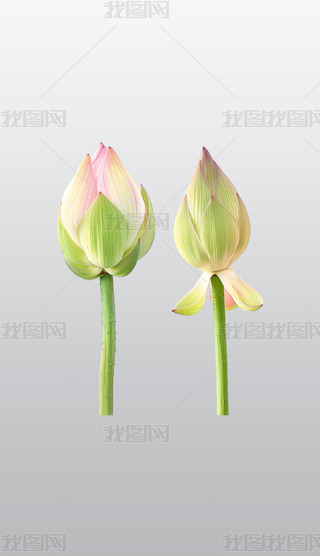 ɏɏٲ宋⓸͸pngDƬز