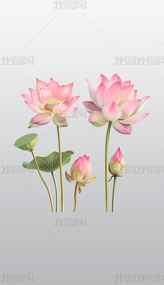 ɫɏ(yu)ŷɫɏ宋͸pngز