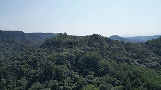 ȻL