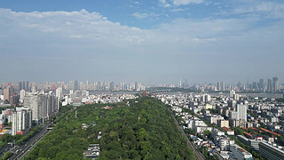 hSQ
