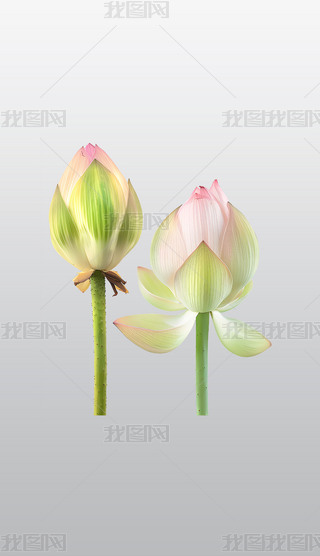 ɏķɫɏٸ⓸͸pngDƬز