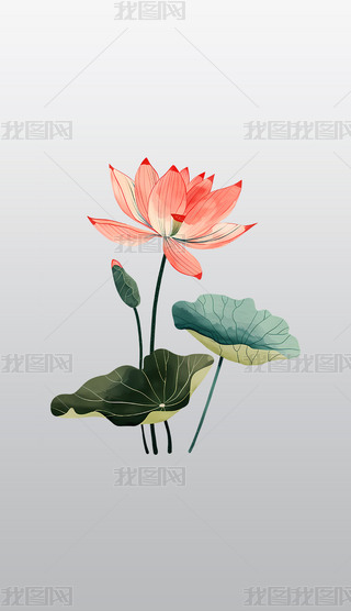 ɫɏ宋͸⓸͸pngDƬز