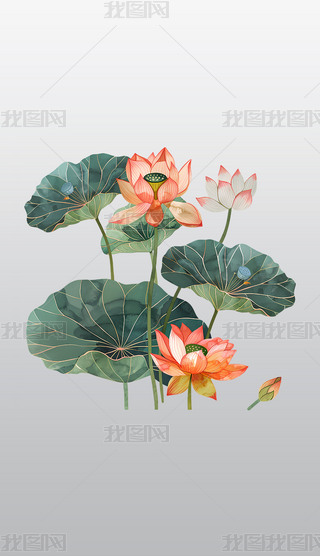 ɏc~Ӳ宋͸⓸͸pngDƬز