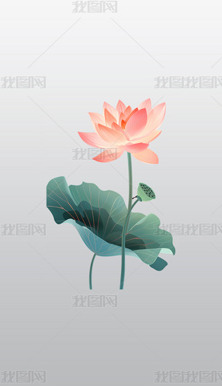 rGķɫɏcͻ~͸͸pngDƬز