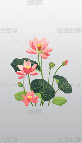 ɏc~Ӳ宋͸⓸͸pngDƬز