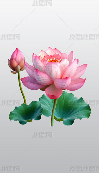 ɫɏcG~͸⓸͸pngDƬز