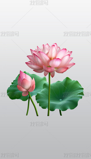 ɏcG~O(sh)Ӌ(j)͸⓸͸pngDƬز