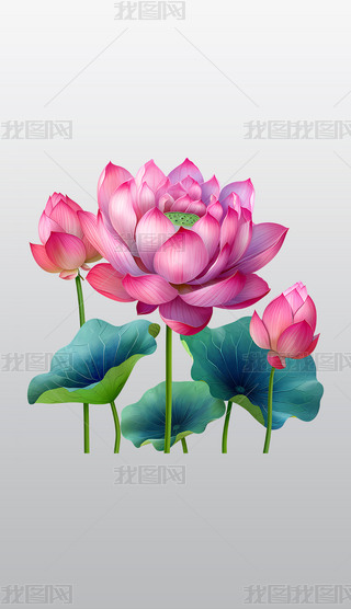 ʢ_ɏcG~͸⓸͸pngDƬز