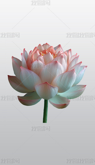 ɫɏʢ_(ki)宋(hu)͸⓸͸pngDƬز