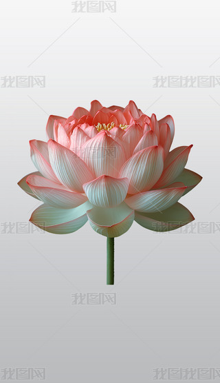 ʢ_ķɫɏ͸⓸͸pngDƬز