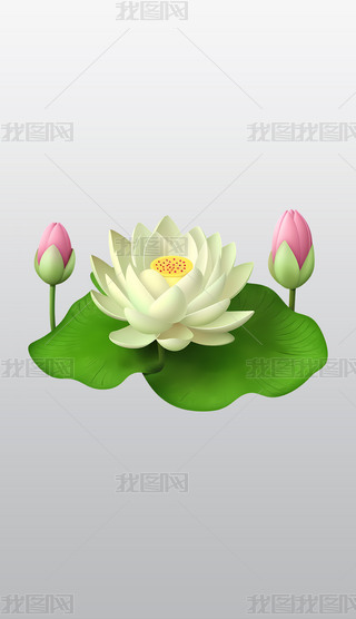 ٺ~ӵİɫɏ宋͸͸pngDƬز