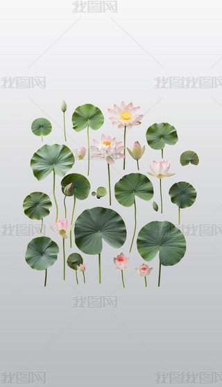 ɏc~Ӹ͸⓸͸pngDƬز