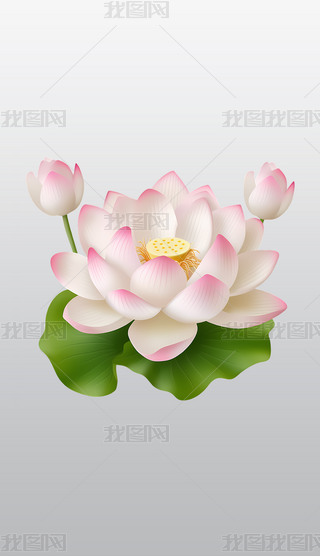 İɫɏ宋(hu)͸⓸͸pngDƬز