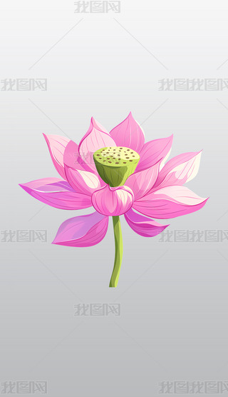 ɫɏcGɫo宋͸⓸͸pngDƬز