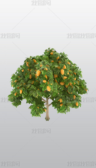 YMâ͸⓸PNGDƬز