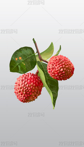 ʳ֦
