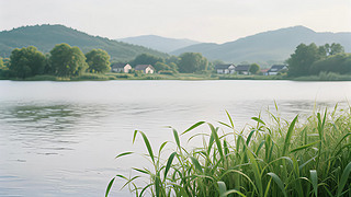 ļ