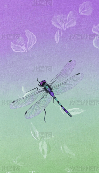 ЇL(fng)ľϺ۾Gu׃֙Cڼ (1)