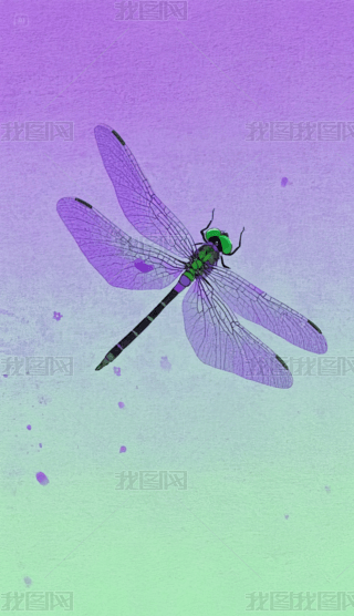 ЇL(fng)ľϺ۾Gu׃֙C(j)ڼ (3)