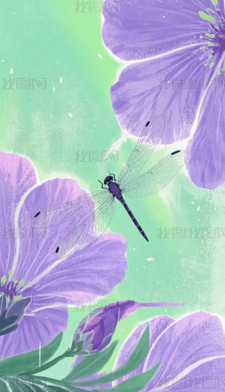 ЇLľϺ۾Gu׃֙Cڼ (2)