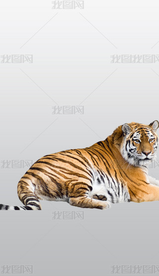 ؈ư׻ϼ͸⓸PNGDƬز